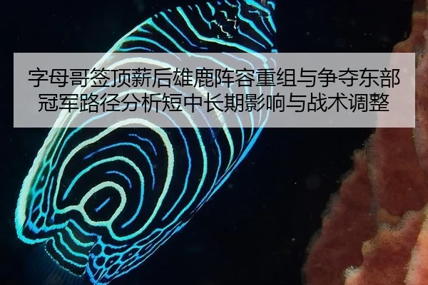 zi-mu-ge-qian-ding-xin-hou-xiong-lu-zhen-rong-chong-zu-yu-zheng-duo-dong-bu-guan-jun-lu-jing-fen-xi-duan-zhong-chang-qi-2-111.jpg