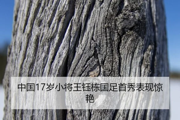 中国17岁小将王钰栋国足首秀表现惊艳