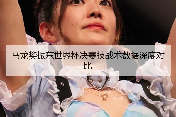 马龙樊振东世界杯决赛技战术数据深度对比